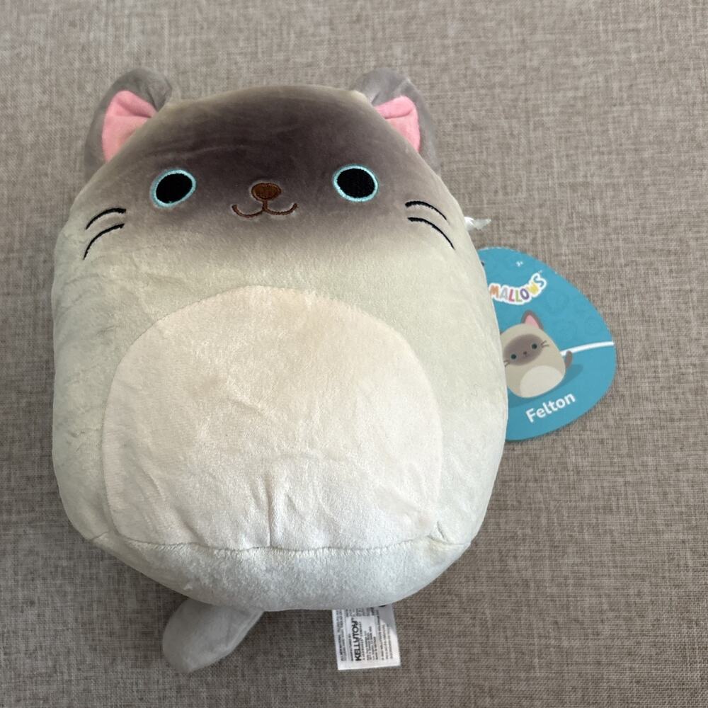 Squishmallows FELTON Siamese Cat 8" Kitty Blue Eyes Kellytoy Plush Gift Toy NWT